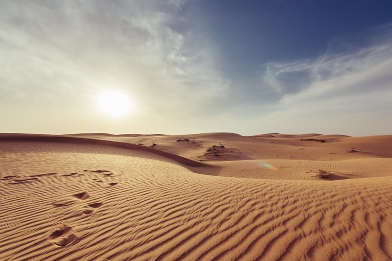 Desert Expeditions