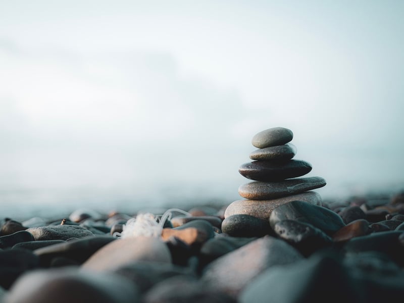 Meditation Workshop
