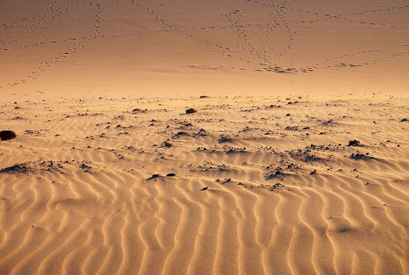 Sahara Desert