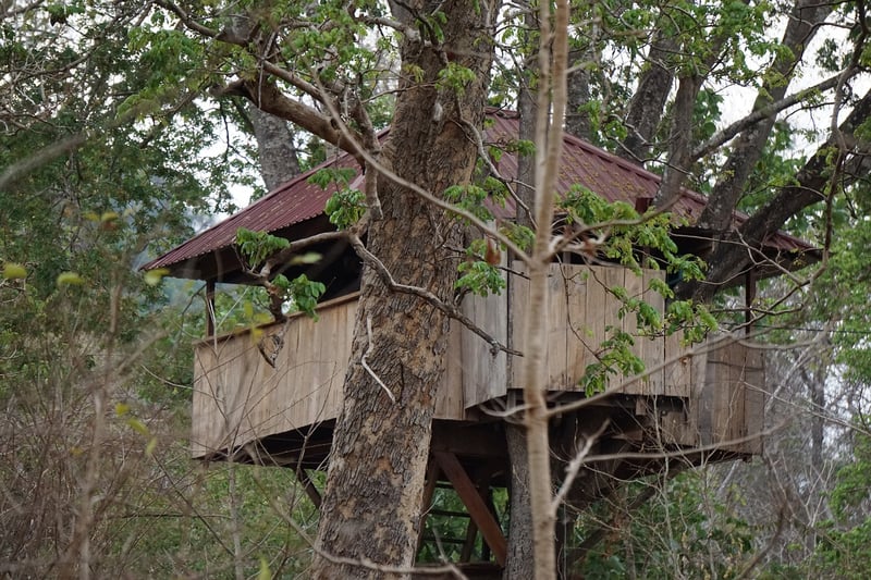 Treehouse Retreat